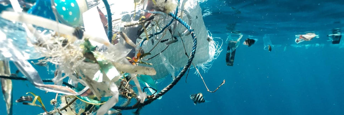 Datos que debes saber sobre el plástico en nuestros océanos