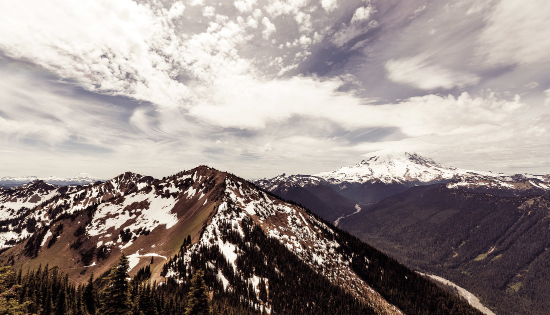 Our 5 Favorite Hikes in the Pacific NW
