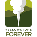Yellowstone für immer