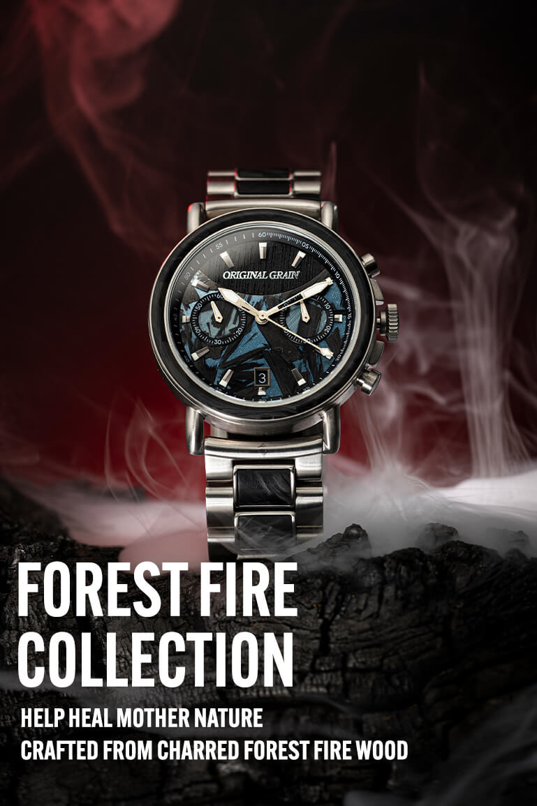 Forest Fire