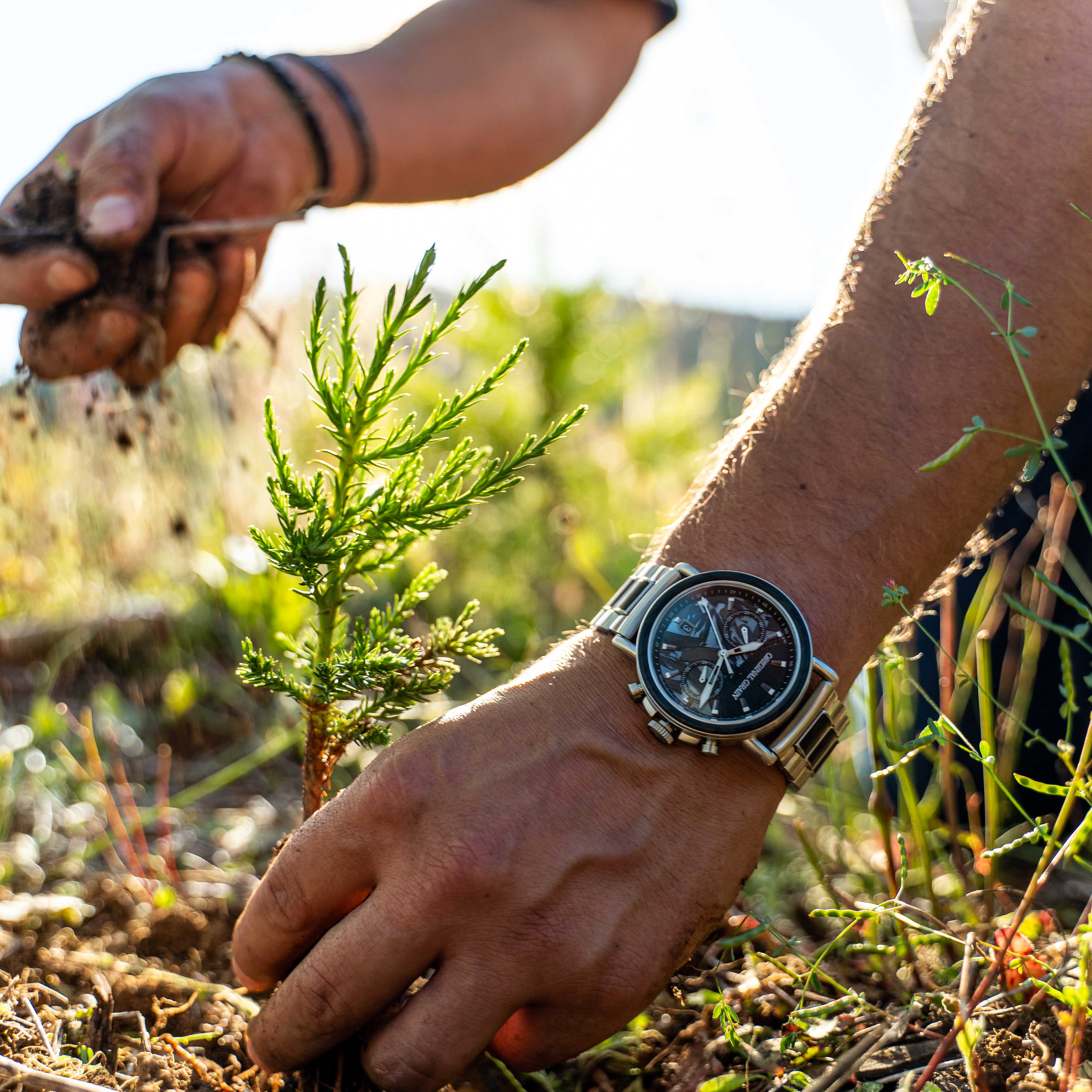 Forest on sale wrist watch